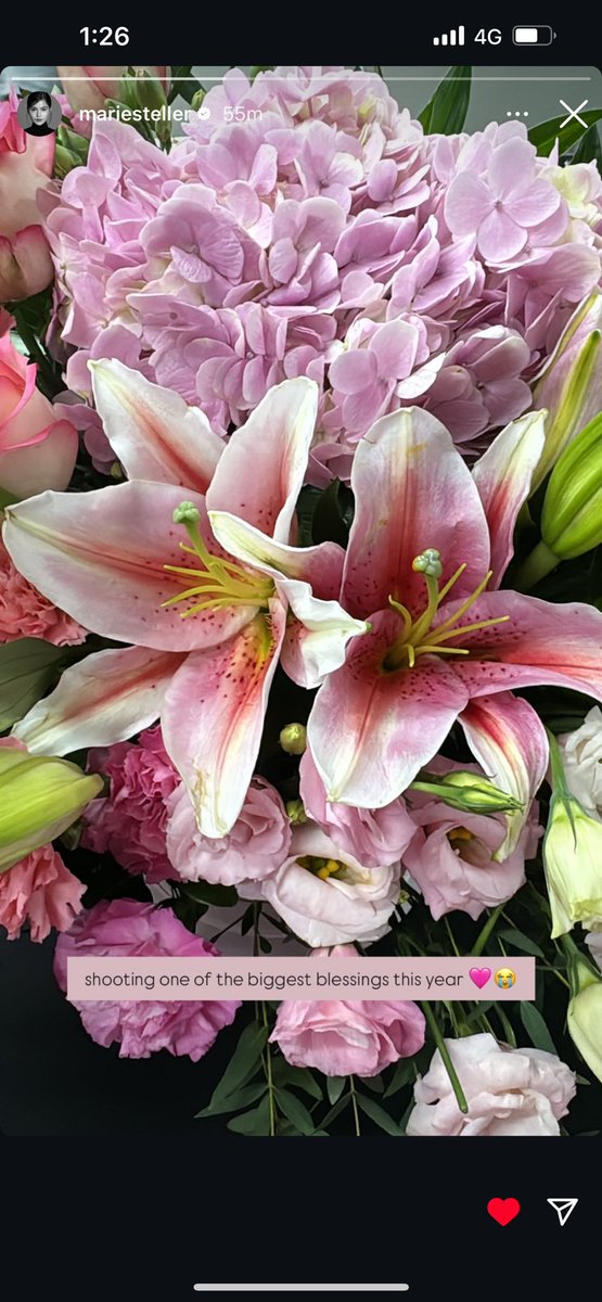 Bash = Blessings.... See how Karma deals with her haters. Mag BP talaga sila ng wala sa oras. 🙂🙂🙂 #MarisRacal