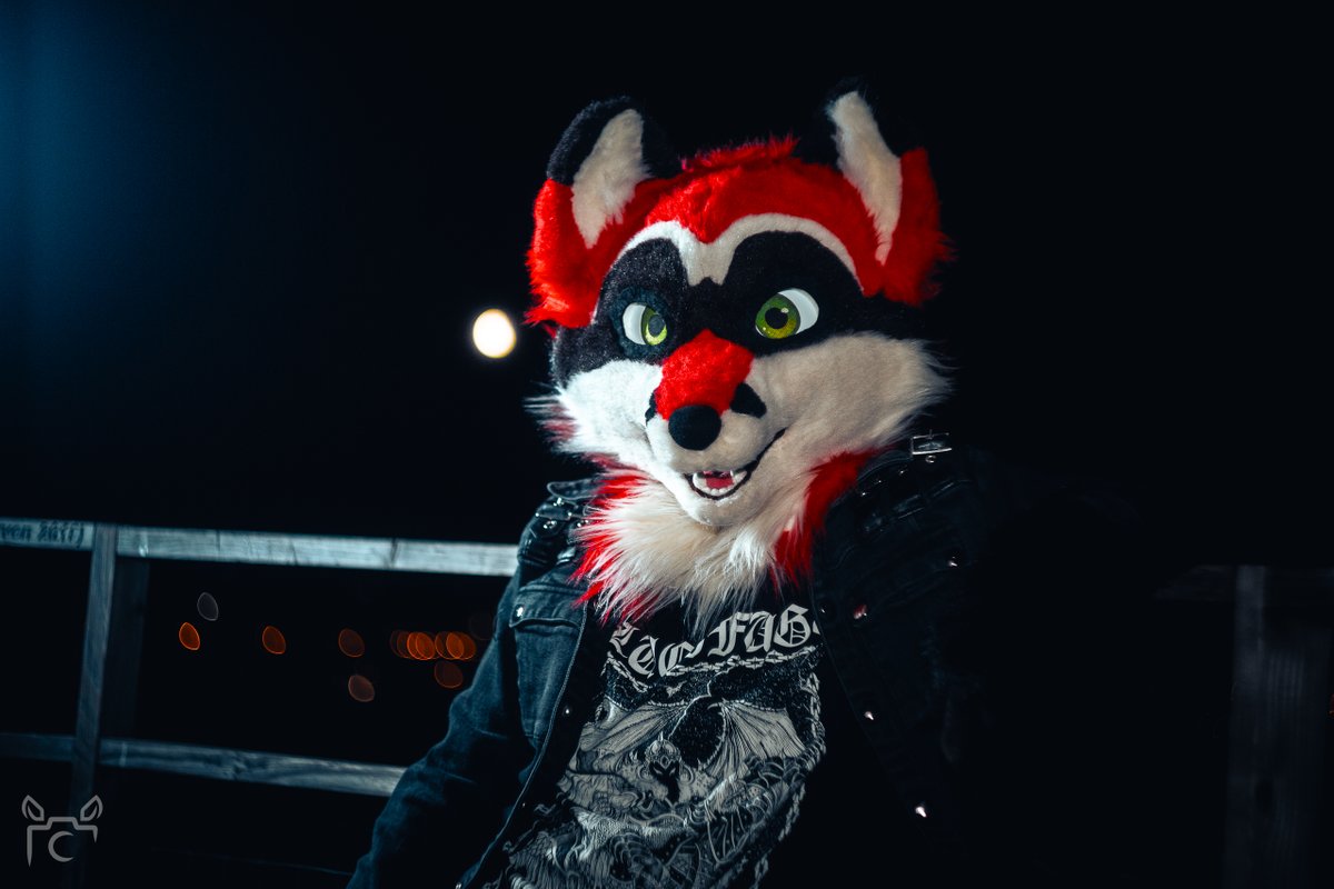 Heard that today is international racoon day!
Hopefully I can join as well as a foxcoon x3

📸 <a href="/cloniksphotos/">Clonik</a> 
🧵 <a href="/crunchchute/">chase 🌆</a>