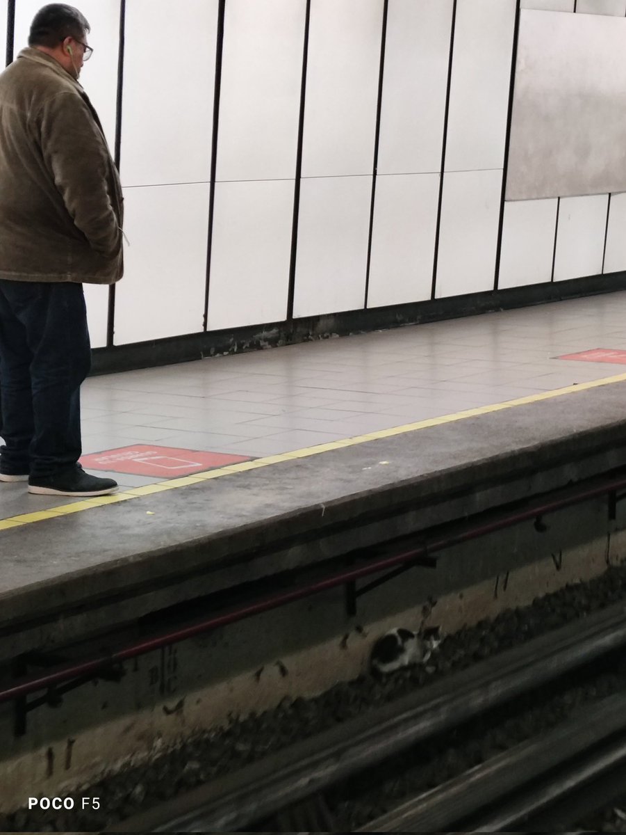 IderayAdejet's tweet photo. @MetroCDMX  estación bellas artes línea 8 dirección constitución https://t.co/1acuxHFh4p
