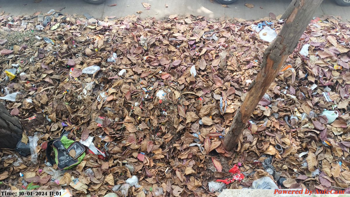 Monag Shah tweet media