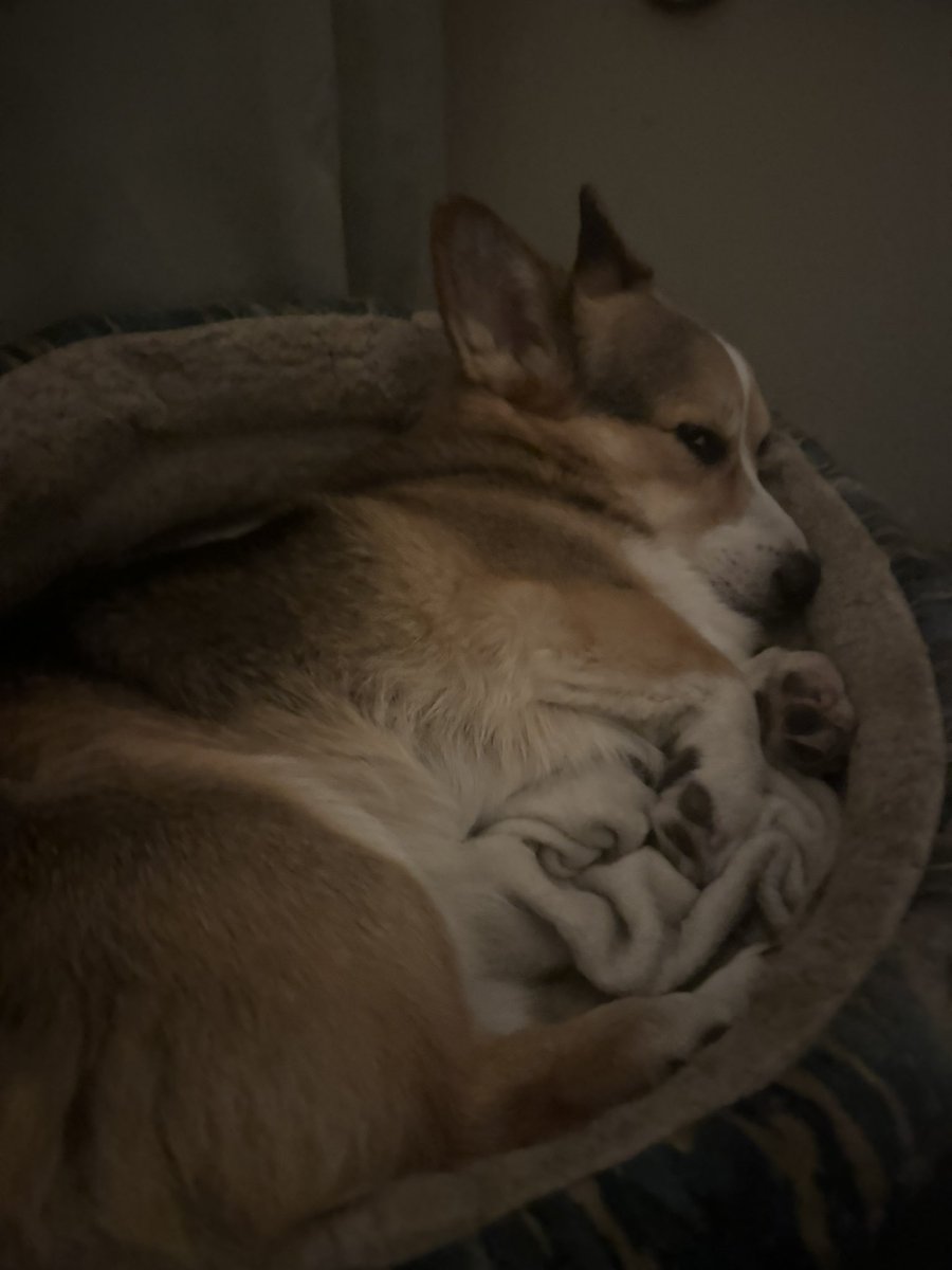 PAVGOD's tweet photo. Goooooobnight to everyone except my haters https://t.co/Yq5pfO5ox5