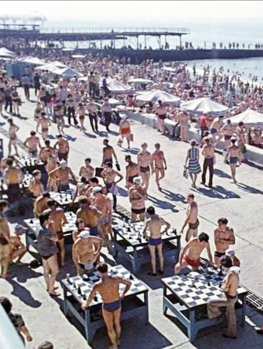 People playing chess in Sochi, 1978.

#scacchi #ajedrez #chess #schach #Echecs #xadrez