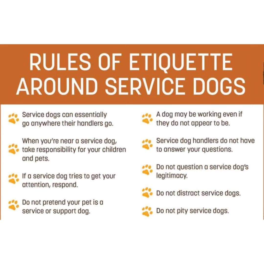 Cali_The_Mali's tweet photo. It's time to brush up on proper etiquette when encountering a service dog. ๐โ๐ฆบ
Assistance dogs work hard every day to keep people with disabilities safe and to help them navigate their worlds. With this in mind, here are some guidelines to follow.
#ServiceDogAwarenessMonth https://t.co/FqP6cY6eK6