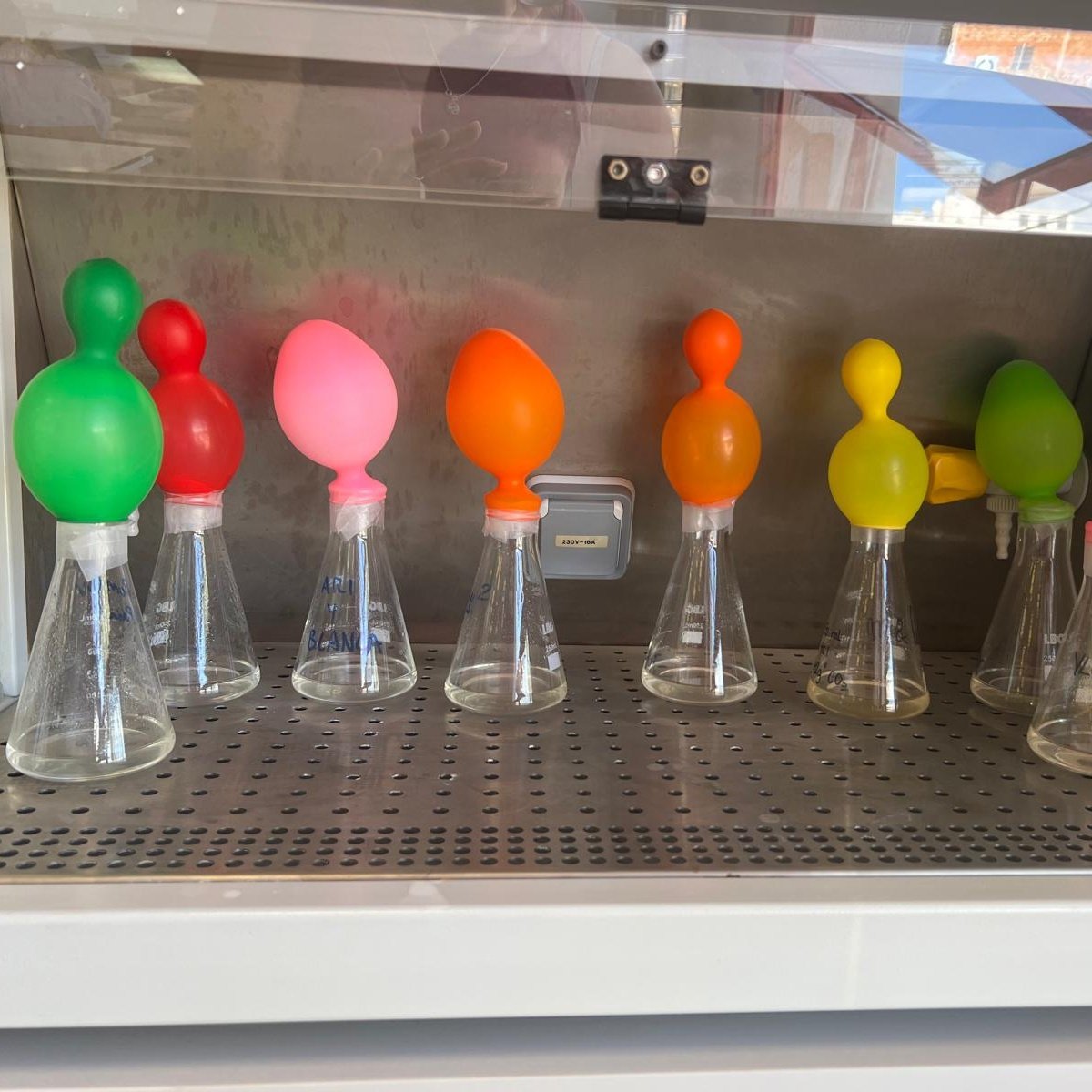 CIP FP Benicarló tweet media