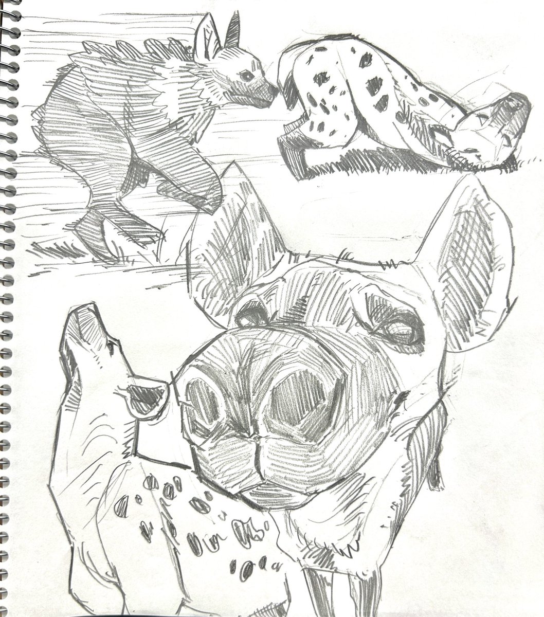 EL_K_8187's tweet image. sketch