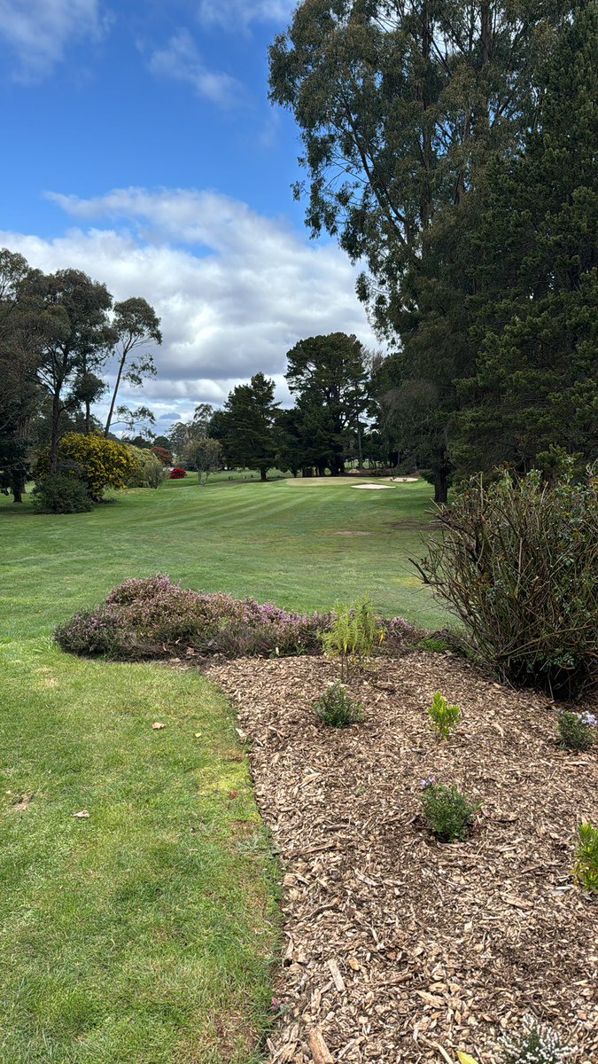 Trentham_GC's tweet photo. Spring golf!! Course is superb!! https://t.co/88rJrL0rzk