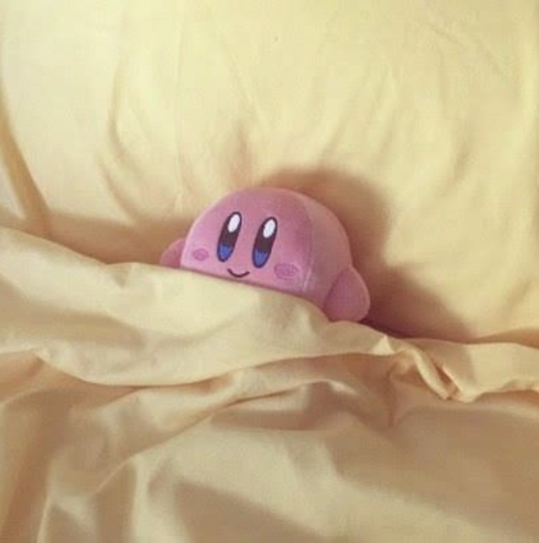 Lions's tweet photo. how I'm gonna sleep tonight https://t.co/r4fEvYTR2n
