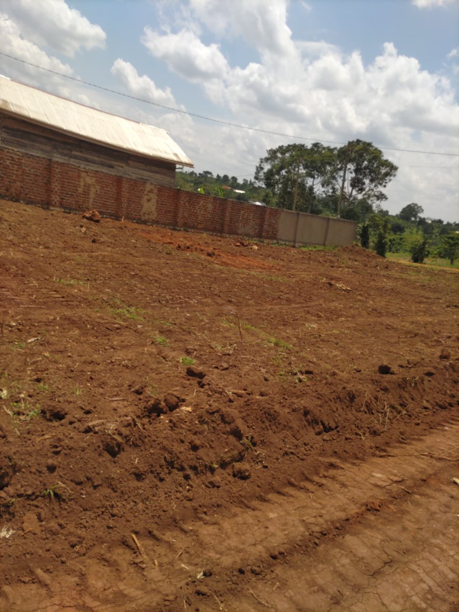 RealEstateUG1's tweet photo. Kakiri Dambwe Estate 50ft X 100ft prime plots at only UGX 15,000,000/-.
 A project that is; 
-secure,
-Accessible,
-Social amenities on Site, 
-Plots are titled,
-few meters from the main road,
-Affordable and with flexible payment of upto 4 Months.
1 plot remaining https://t.co/hcrImWoat7