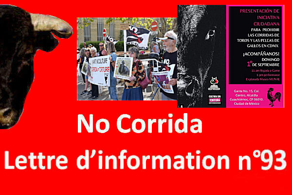 LINC n°93 – Lettre d’information No Corrida – 1er octobre 2024

nocorrida.com/2024/10/01/lin…