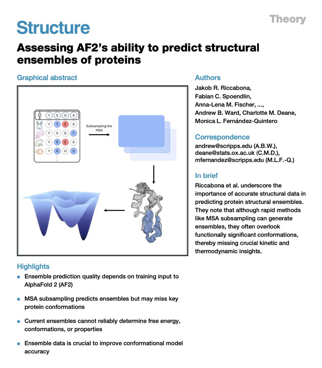 Our new research article benchmarks #AlphaFold2’s ability to predict #protein conformational ensembles, comparing it to #molecular #dynamics and #NMR. Promising, but some structural complexities remain undetected. Read here: sciencedirect.com/science/articl…