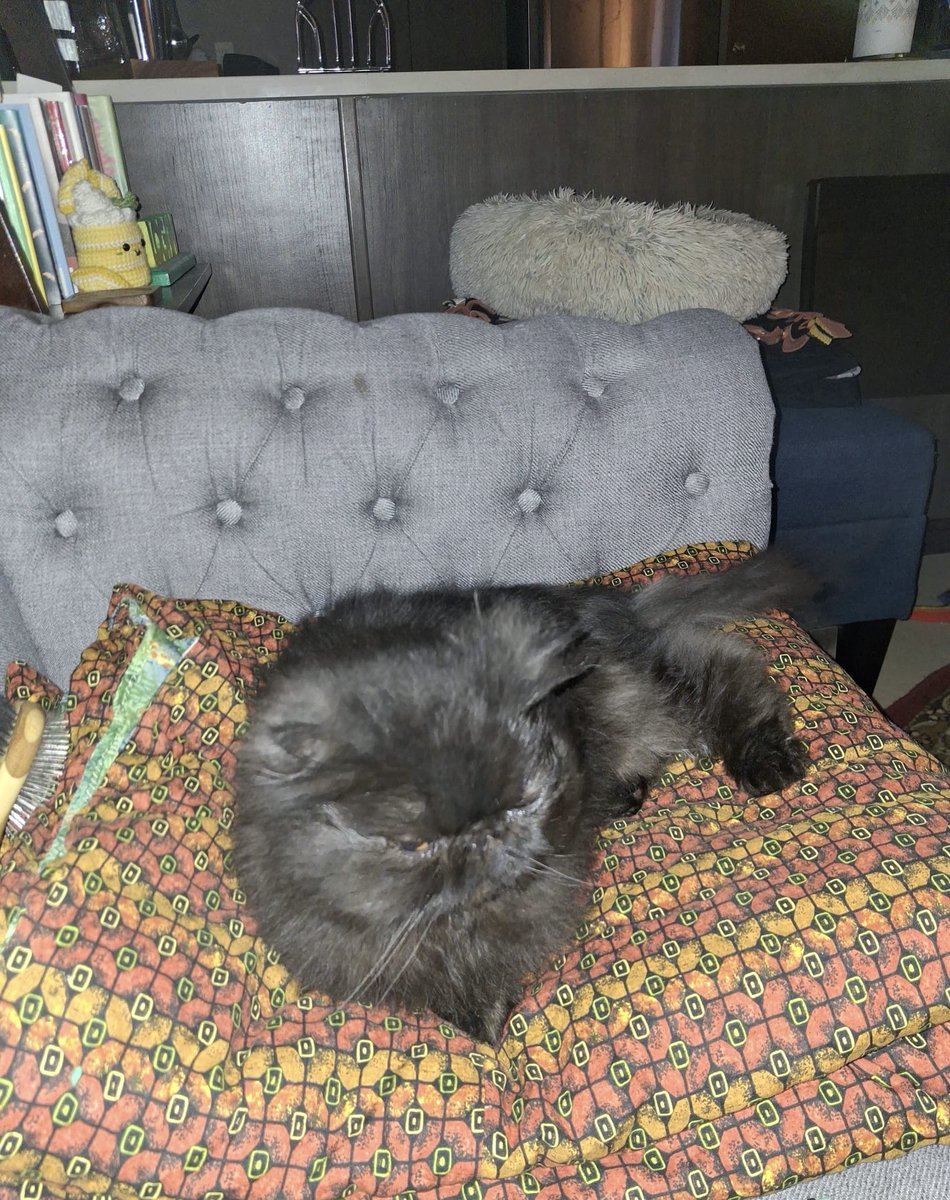 well. Itse been a few dates. Safe two say Ime been freakin forgor…….. jost me n 2dade all by. Our loam sone