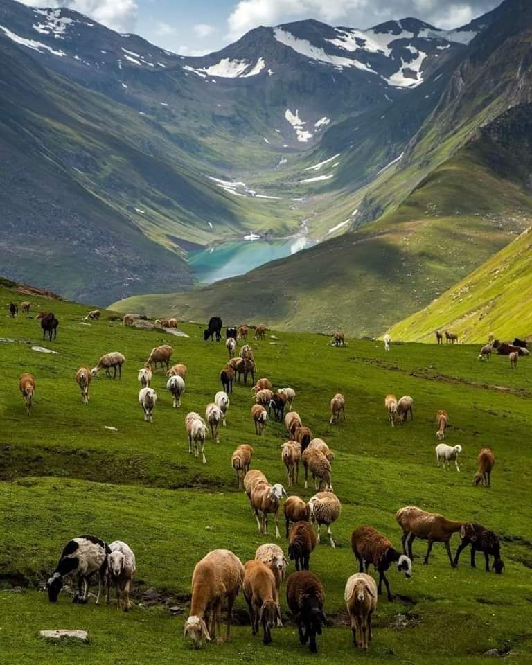 Saral Lake!
This lake is located on border of Neelam and Kaghan Valley in Pakistan at an altitude of 13,600 feet.