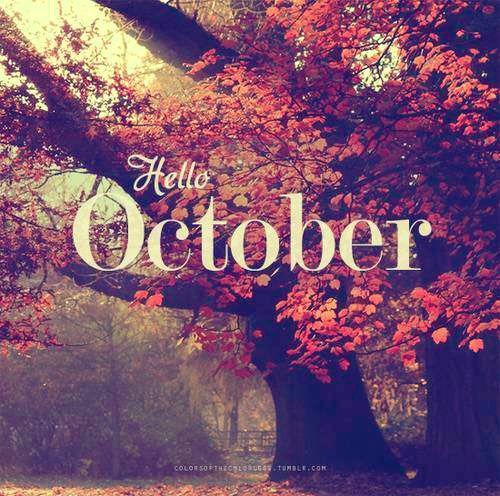 poppygibsonuk's tweet photo. 🍁 Happy new month! 🍂 https://t.co/clr585vzNW