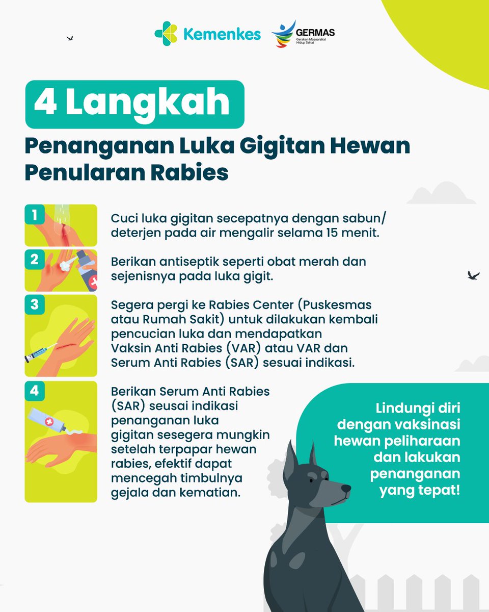 Apa yang harus dilakukan saat tergigit hewan penular rabies?

Jika tergigit, lakukan penanganan pada luka dan pergi ke fasilitas kesehatan sesegera mungkin. Lindungi diri dengan vaksinasi hewan peliharaan dan lakukan penanganan yang tepat!

#HariRabiesSedunia #AyoSehat