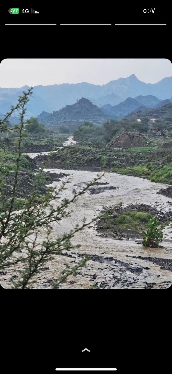 #اخلال_ولتين_عسير