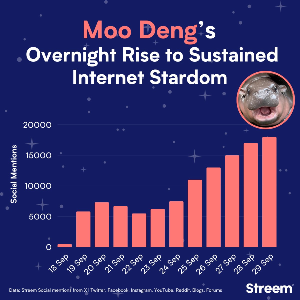 After her Saturday Night Live appearance this week it’s official - Moo Deng has achieved sustained internet stardom. The baby pygmy hippo has drawn in crowds (and mentions) from around the globe for over 10 days now. 

Photo credit: Khao Kheow Open Zoo