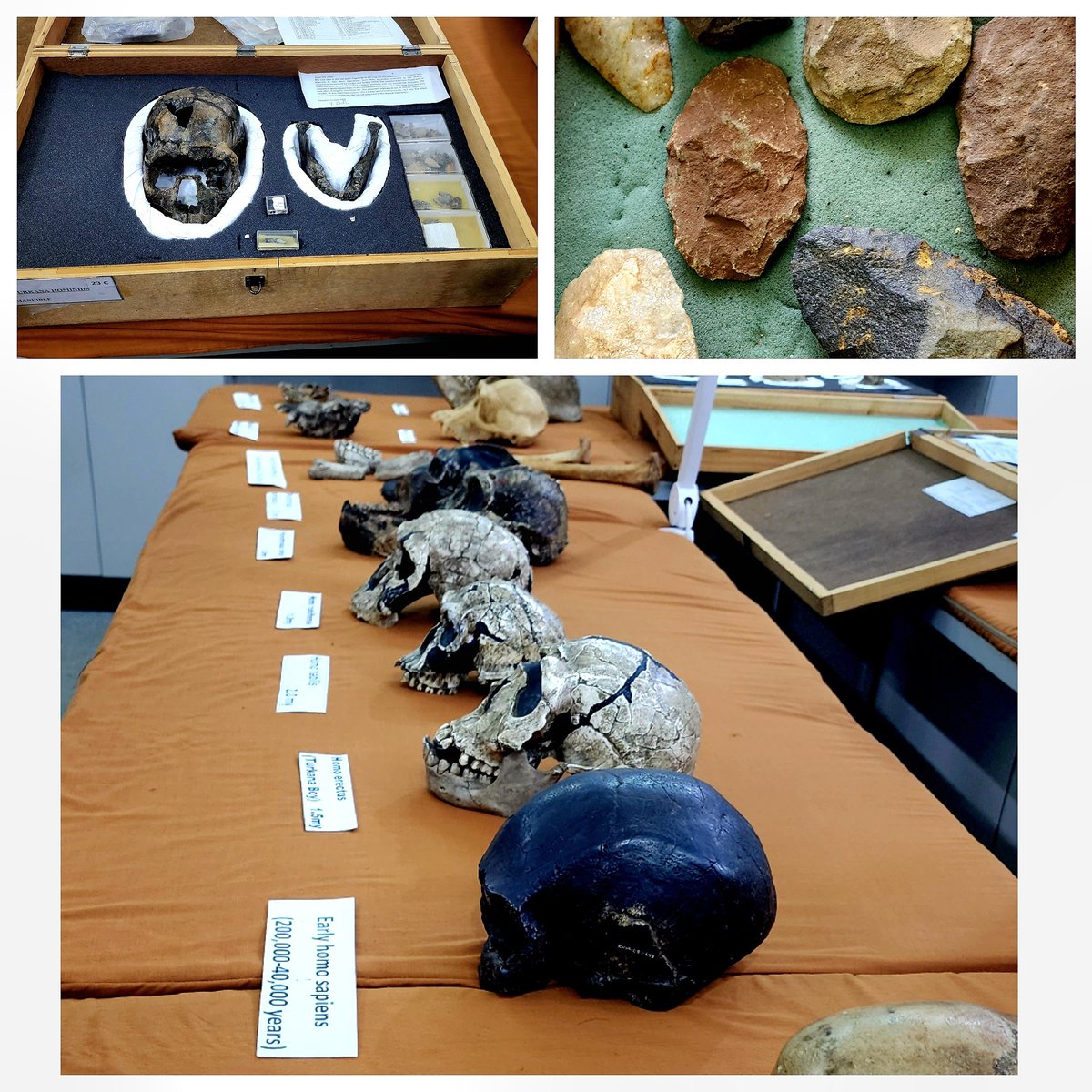 chris foot (@ckfoot) on Twitter photo Met our amazing research teams & saw our globally unique collections during our board tour <a href="/museumsofkenya/">National Museums of Kenya</a> archaeology, paleontology, palynology, mycology, herbarium, ecology, botanical gardens, invertebrates, ichthyology, mammology, ornithology, osteology, wetlands, molecular Met our amazing research teams & saw our globally unique collections during our board tour <a href="/museumsofkenya/">National Museums of Kenya</a> archaeology, paleontology, palynology, mycology, herbarium, ecology, botanical gardens, invertebrates, ichthyology, mammology, ornithology, osteology, wetlands, molecular