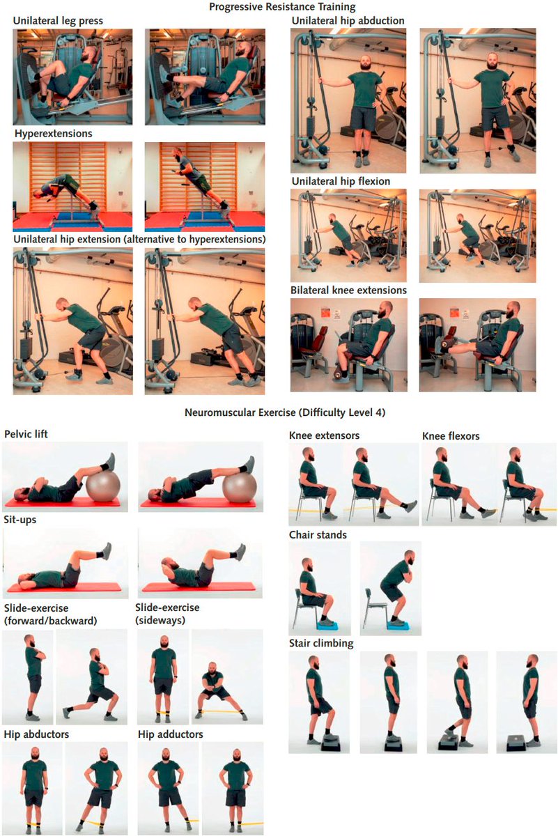 "Changes in leg extensor muscle power after supervised exercise are  consistently associated with changes in physical function across  performance-based and patient-reported measures in patients with hip  osteoarthritis"

👇👇👇

pubmed.ncbi.nlm.nih.gov/39318357/