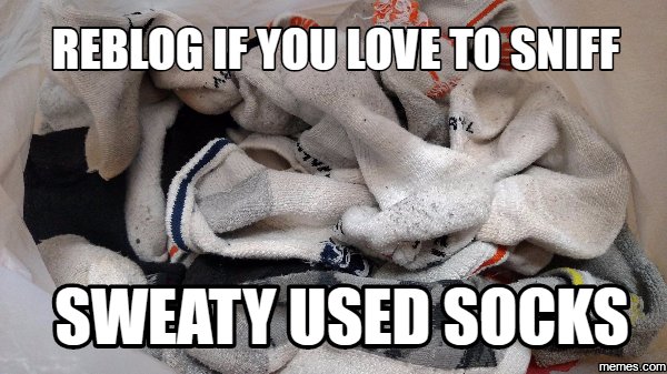 💕💕💕💕💕💕💕💕💕