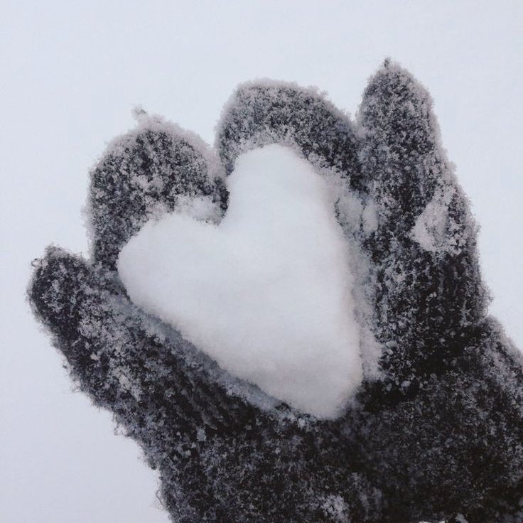 rainepoch's tweet image. 