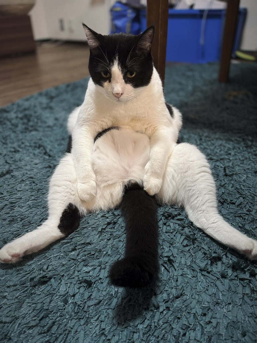 やる気でねぇ