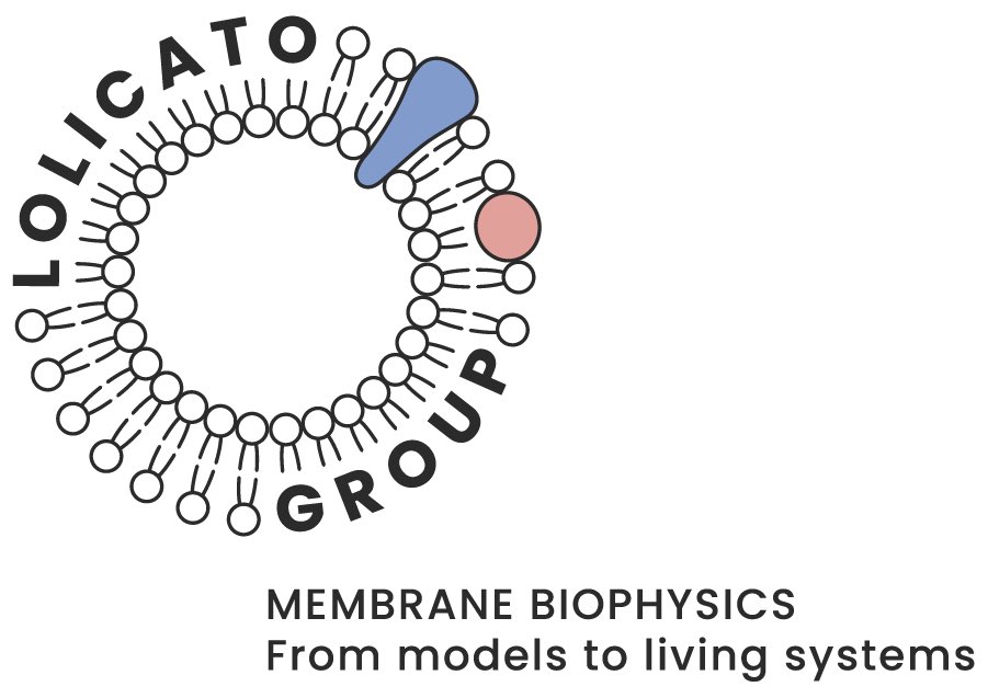 Habemus Logo! – we have our official Lipid logo! Huge thanks to <a href="/Ella_Maru/">Ella Marushchenko</a> for the amazing design! #lipidtime