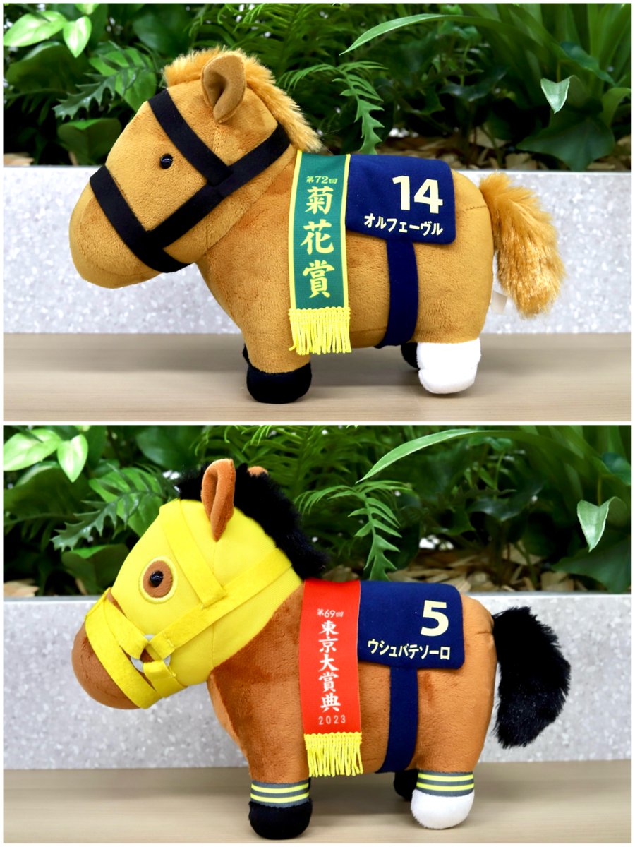 🐎10月商品紹介🐎 【楽市楽座・ASOBLE・アドアーズ・アラクレ限定