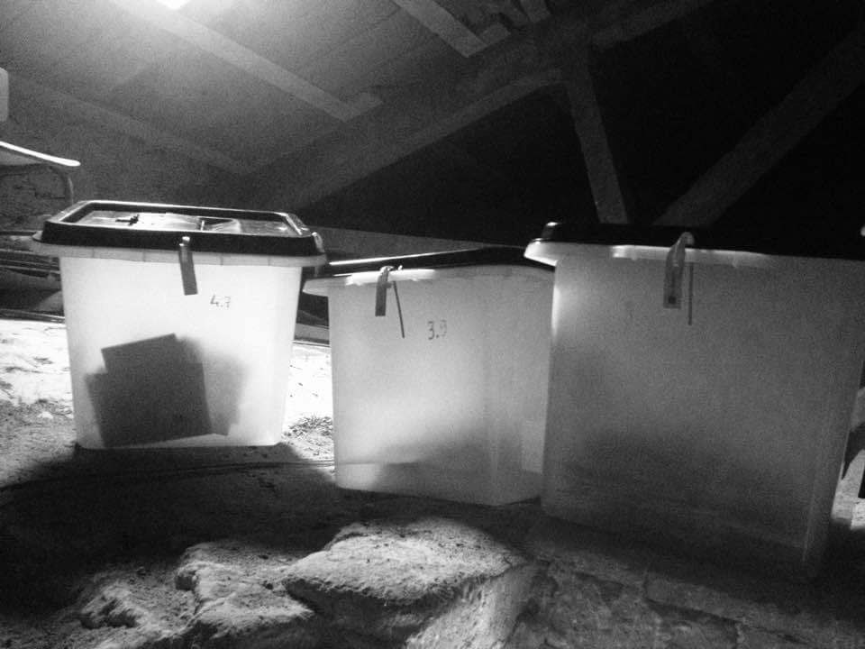 Raons per la República tweet media