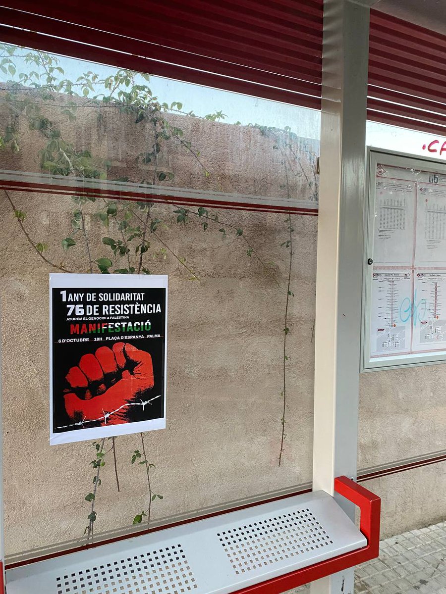 ambPalestina's tweet photo. Dia a dia, barri a barri, poble a poble, la solidaritat s'estén: ATUREM EL GENOCIDI A PALESTINA!🇵🇸✊🇱🇧

📍Manacor (@manambpal) https://t.co/RdionJmJLw