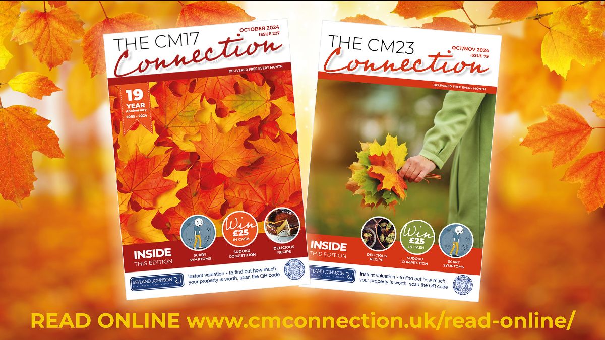 CM_Connection's tweet image. Latest Editions are out!
mailchi.mp/177112972707/s…