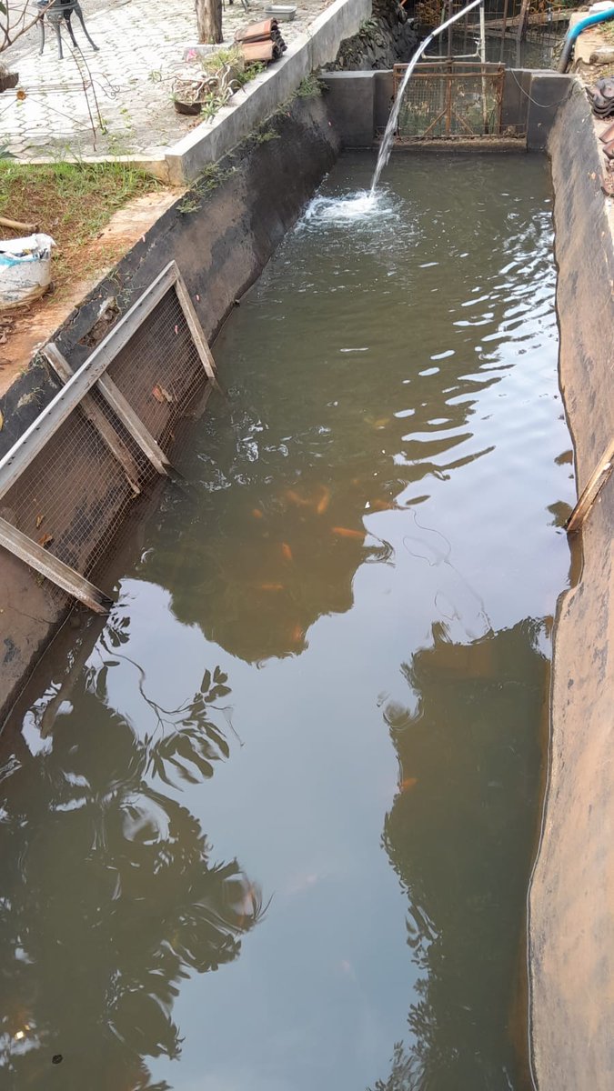 Sri Wahyuni tweet media