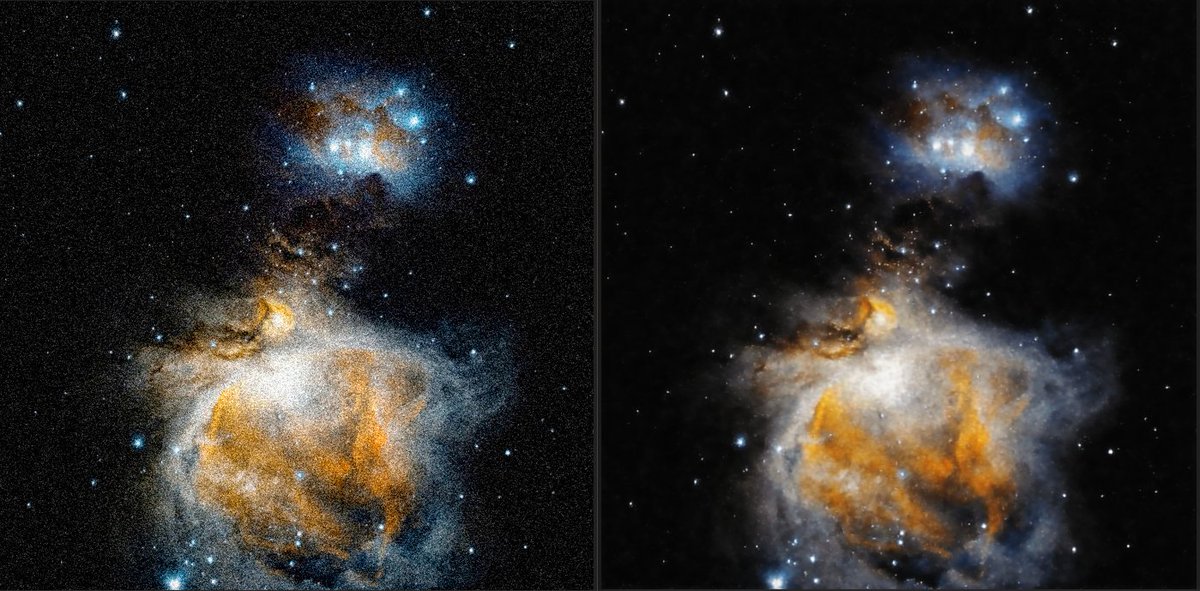 David Regordosa tweet media