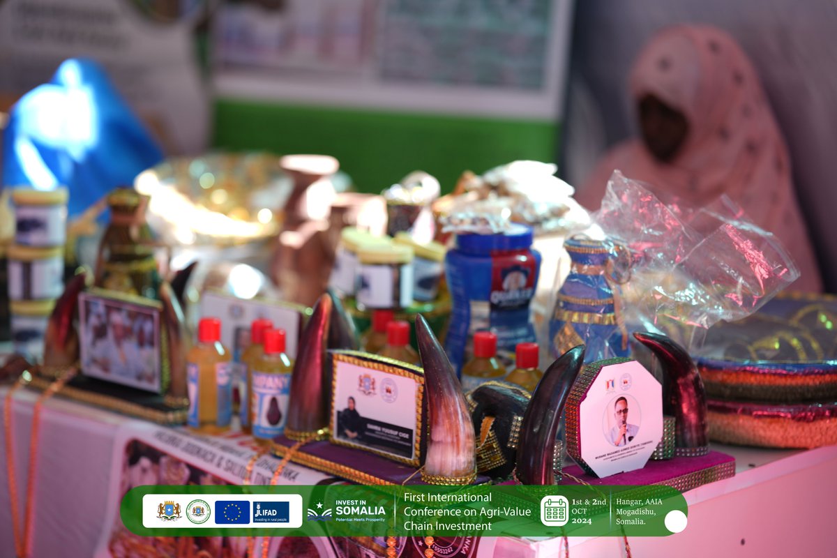 MOASomalia's tweet image. We are excited to announce the start of the first International Conference on Agri-Value Chain Investment, with participants now arriving at the venue. #AgriValueChain #InvestmentConference #Agriculture