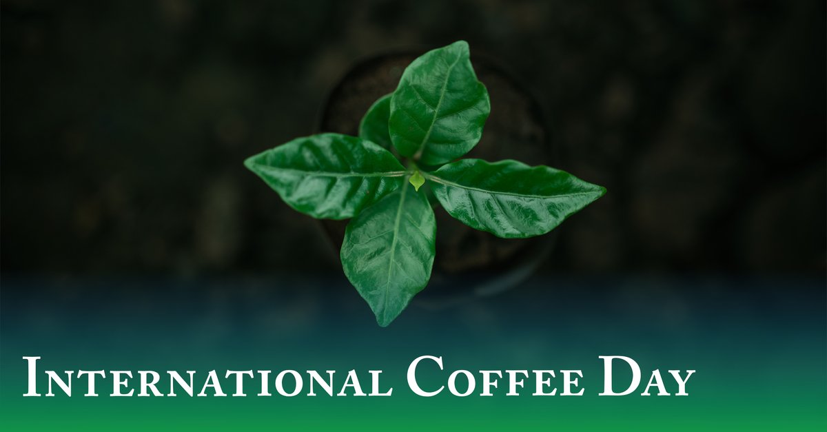 Happy International Coffee Day 2024! 🌱🌍☕ 

This year’s theme, “Coffee, Your Daily Ritual, Our Shared Journey,” highlights the power of sustainable and ethical practices from Ethiopian farms to your cup. 

#KerchansheCoffee #InternationalCoffeeDay #SustainableCoffee #Coffee