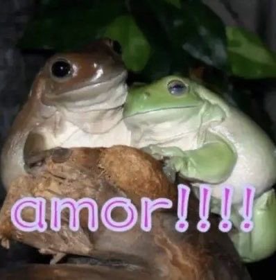 que lindo estar enamorada que lindo estar de novia que lindo dormir con alguien que lindo todo menos las trolas gracias dios gracias