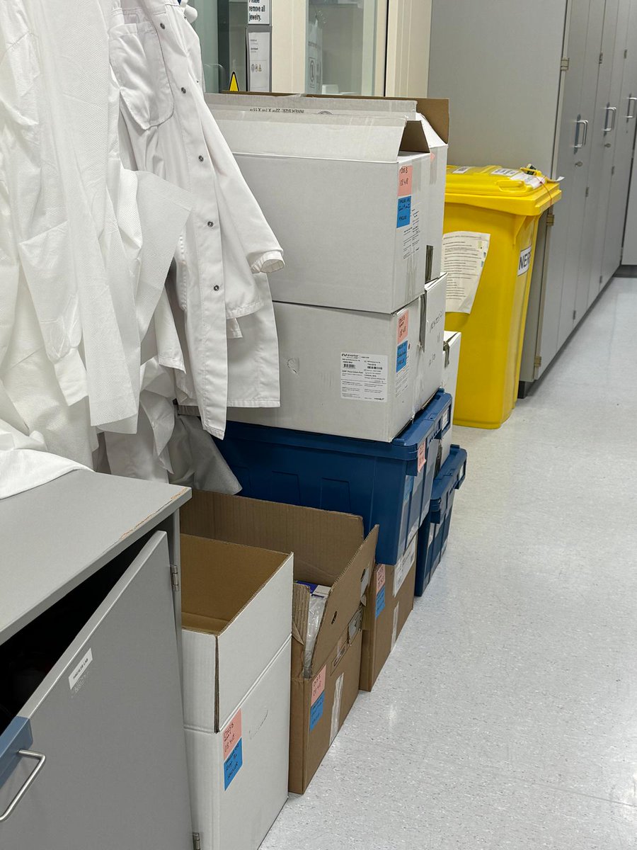 __NERF's tweet image. It's moving week! 📦
We're relocating from the imec campus to our brand new research space at Campus Gasthuisberg, just a few hundred meters away.
nerf.be/en/news#/news/…