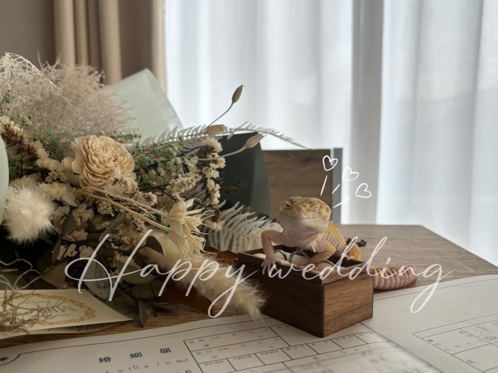 혜진(ヘジン) tweet media