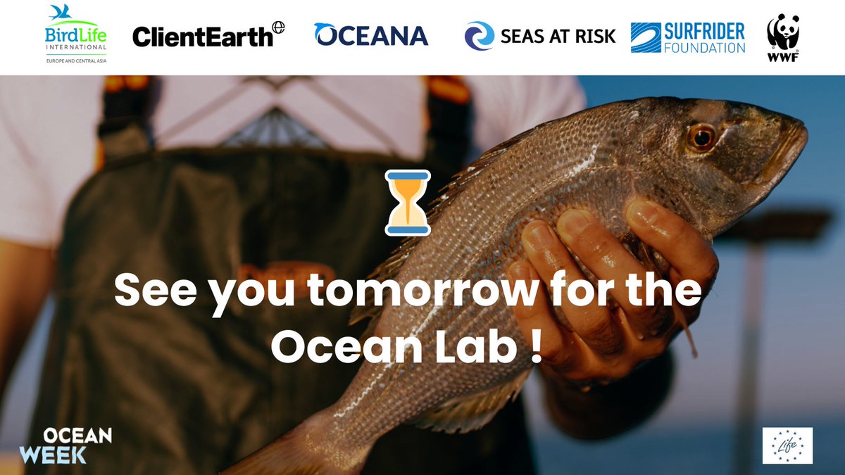 surfridereurope's tweet photo. It’s tomorrow ! As we launch our new #BlueManifesto today at #EUOceanWeek2024, don’t forget to join us tomorrow for the #OceanLab 👀 This event is exclusively reserved for Members of Parliament #MEPs & their teams 🎟️ Free event, no registration required.
https://t.co/5gq3Qo3P3o https://t.co/AYPWIE5YgR