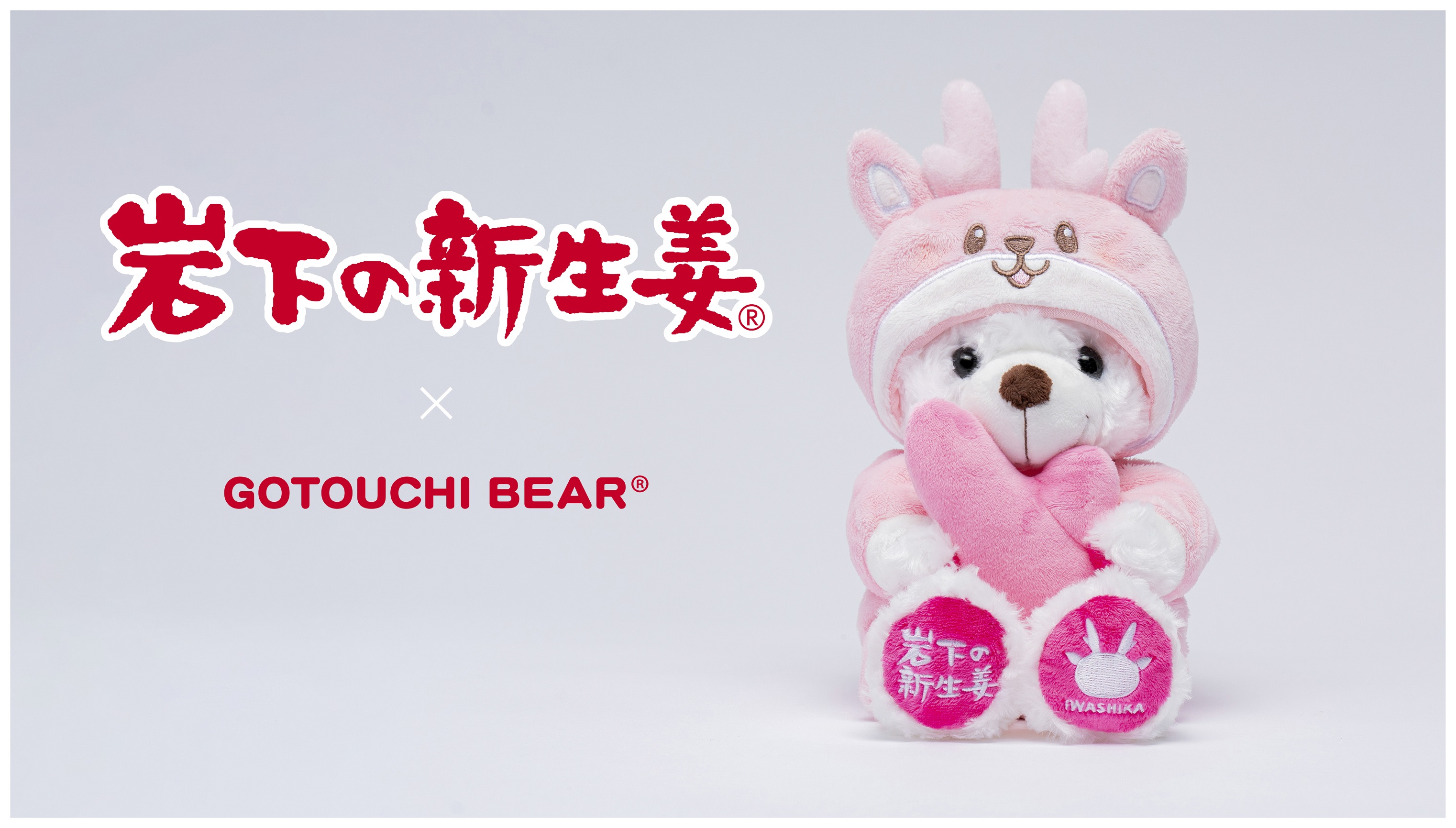 【値下げ中】【夕方まで出品】 ご当地ベア 10体 セット リゾート テーマパーク グッズのリーディングカンパニー 株式