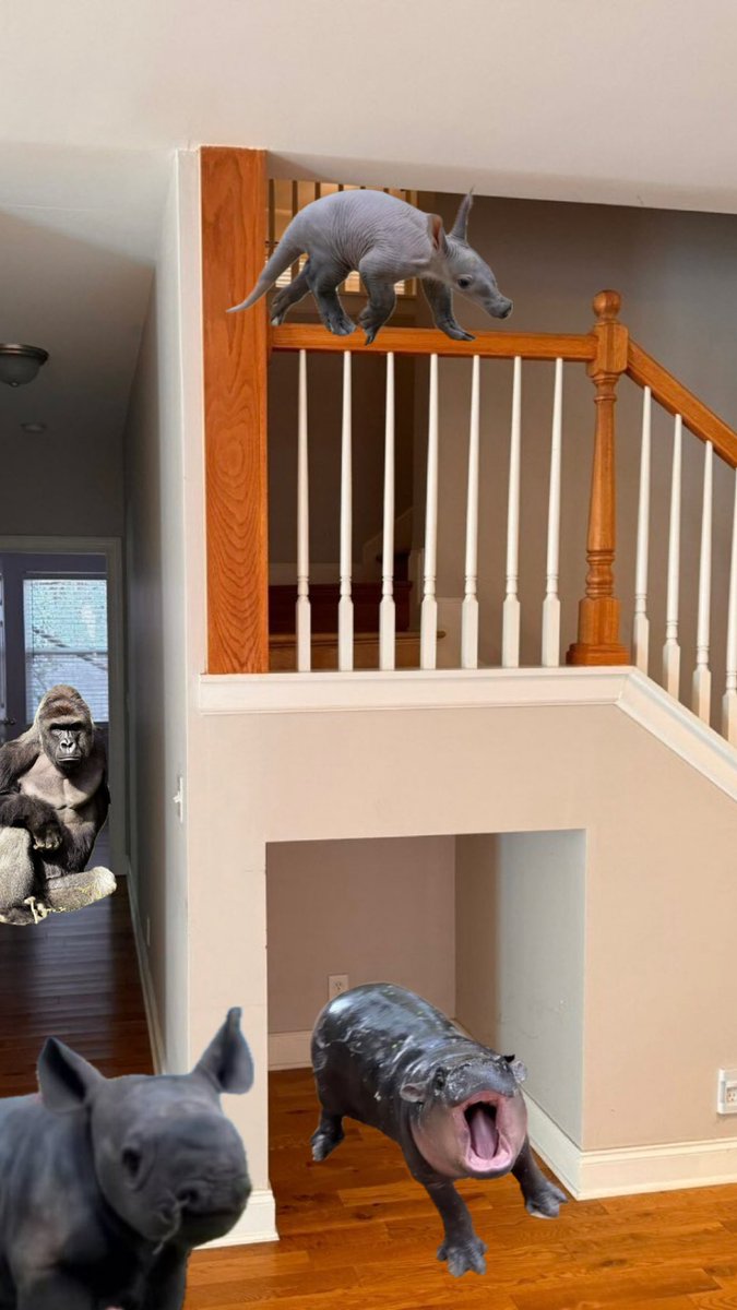 fillspacesolana tweet media