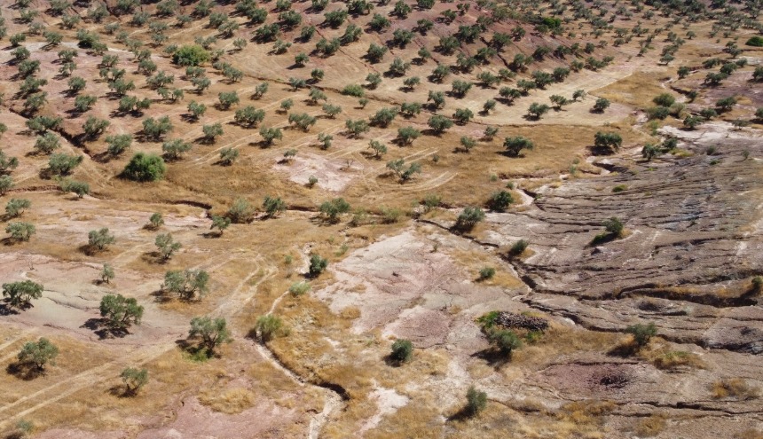 ¿Te preocupa la sostenibilidad de los paisajes mediterráneos?  😵‍💫 
Worried about sustainable mediterranean landacapes? #PhD #modelling #erosion #waterbalance
csic.es/es/formacion-y…
