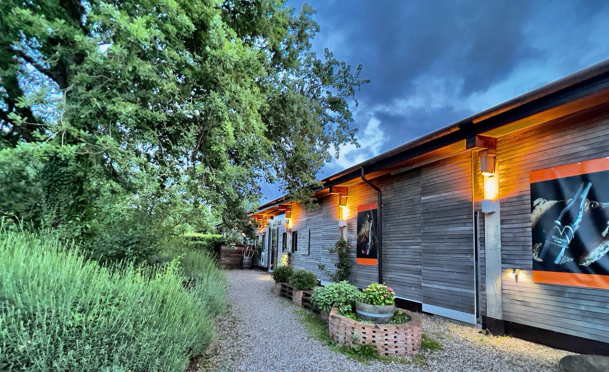 CANTINA VALDONICA #breathtakingviews #valdonica #valdonicarestaurant #maremma #toscana #naturalwines #naturalwinelover #vinummagazin  #winetour #instawine #tuscany #visittuscany #organicwine #organicwinery #vermentino #sangiovese #wineenthusiast #winetravel #robertparker