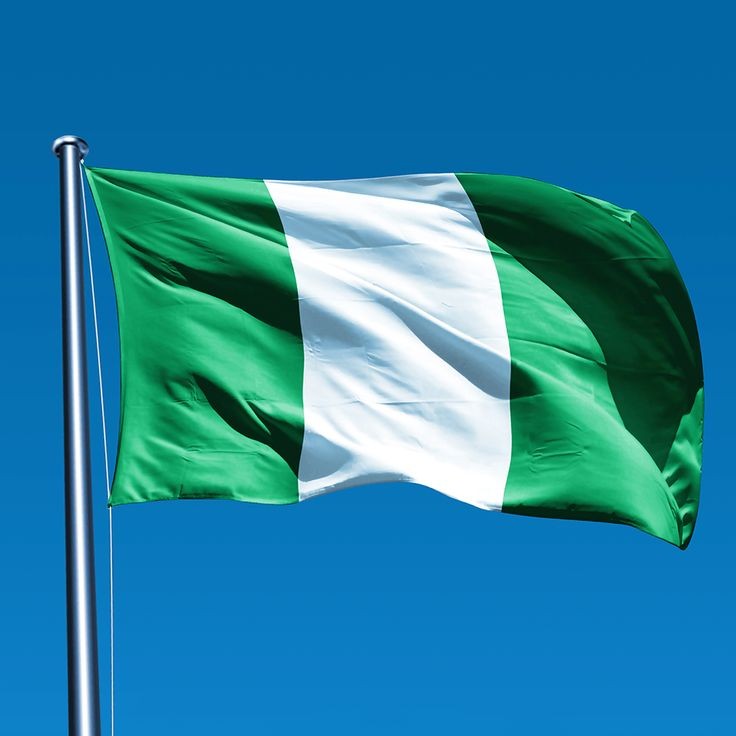 nova_elle01's tweet image. What is that one fact about Nigeria?