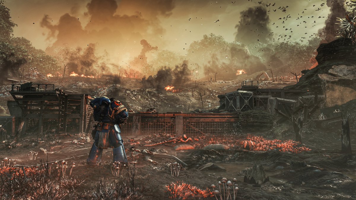 Chris25551's tweet photo. Warhammer 40k : Space Marine 2 https://t.co/NkXz3ijXvn