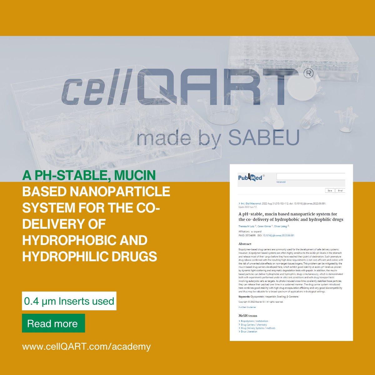 cellQART tweet media