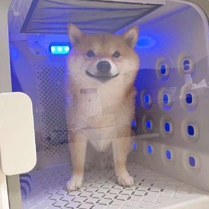 nervousamerican's tweet photo. GM comin at ya live from inside the Machine™ https://t.co/1P4FQHHHni