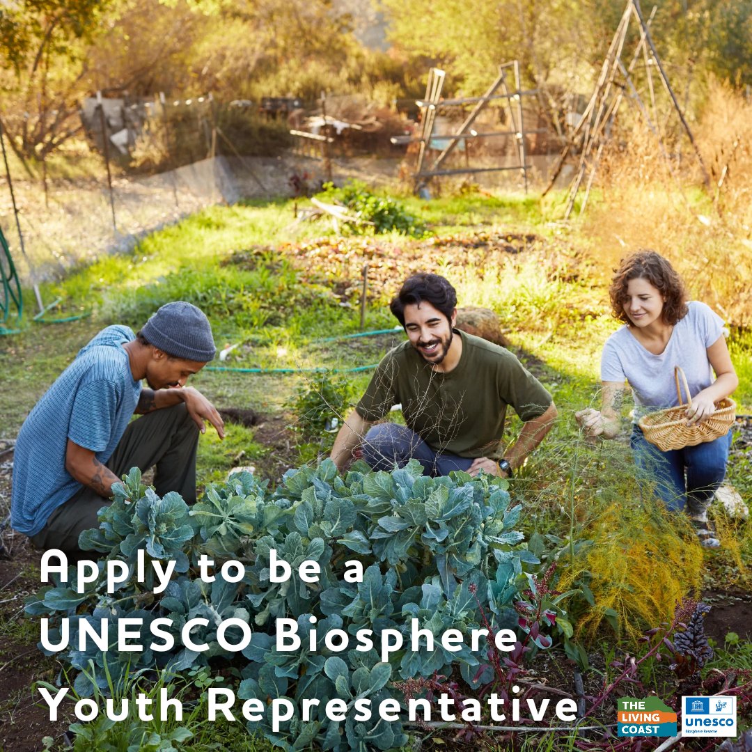 LivingCoastUK's tweet photo. 🌿 Become a Youth Rep! 🌿

🌱 Work with communities &amp; decision-makers 🌱 Join the UK &amp; Ireland Biosphere Youth Network 🌱 Build leadership skills 

We're looking for 2 representatives 16-25. No experience needed—just your voice and energy!

Apply now! 👉 https://t.co/K9N2tE0noX https://t.co/OyVoQKc7Wd