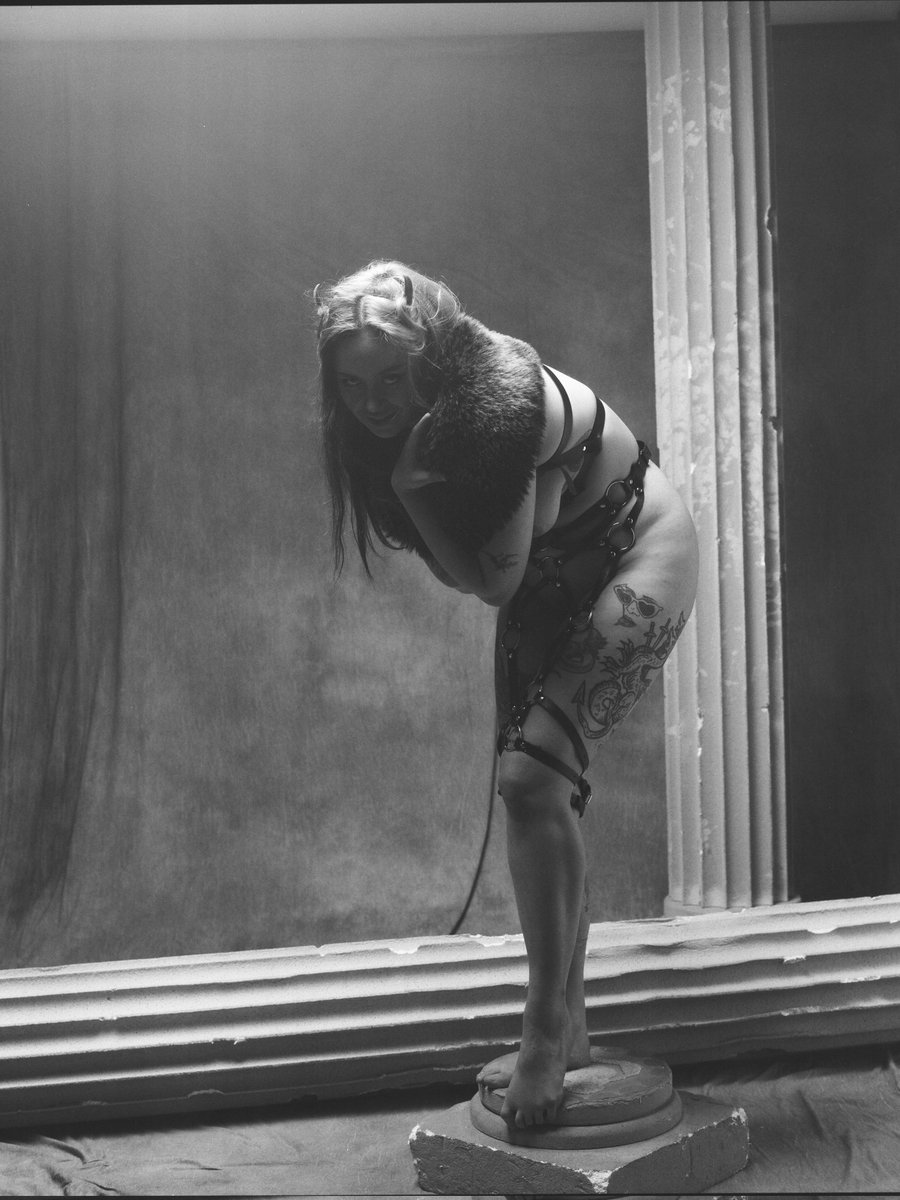 🦇 𝔄𝔢𝔰𝔞𝔩𝑦𝔞 🦇 tweet media