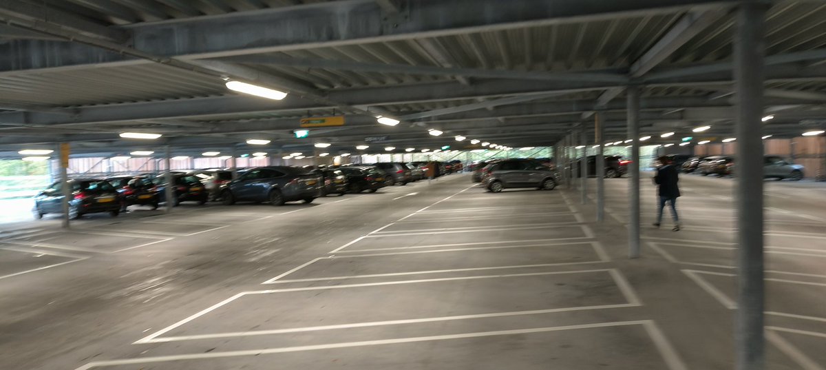 Ingrid Goudsbloem tweet media