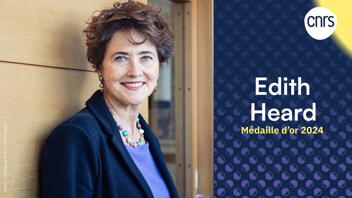 #Communiqué 🗞️ La médaille d'or 2024 du <a href="/CNRS/">CNRS 🌍</a> distingue la biologiste Edith Heard, spécialiste mondialement reconnue de l'épigénétique pour ses travaux pionniers sur l'inactivation du chromosome X. 🧬

➡️ cnrs.fr/fr/presse/la-b…

#TalentsCNRS 🏅